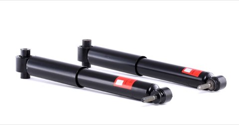 TRW JGT1114T Twin Shock Absorber