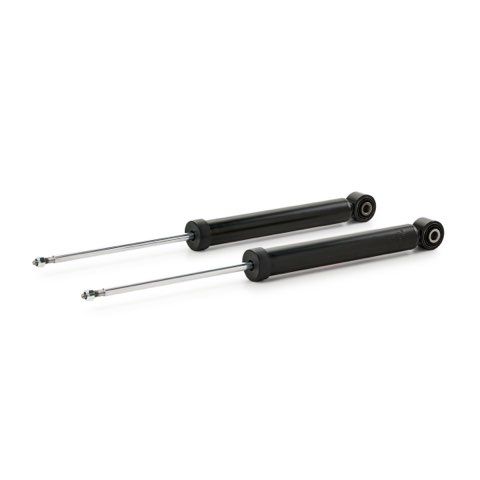 TRW JGT1204T Twin Shock Absorber, photo 2