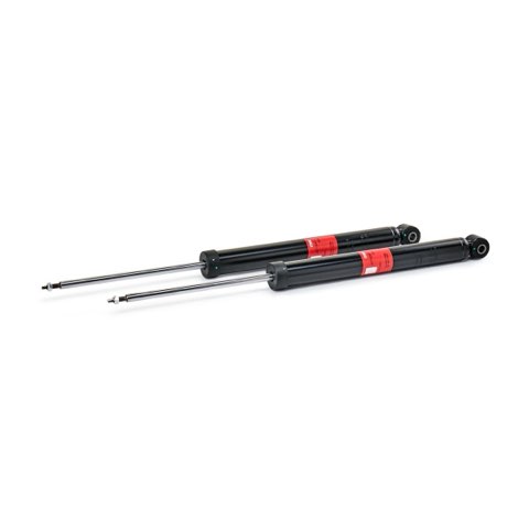 TRW JGT1208T Twin Shock Absorber, photo 2