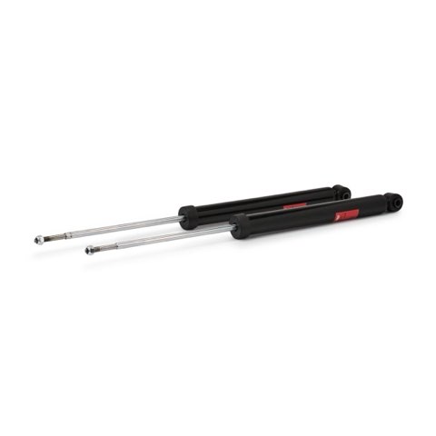 TRW JGT231T Twin Shock Absorber, photo 2