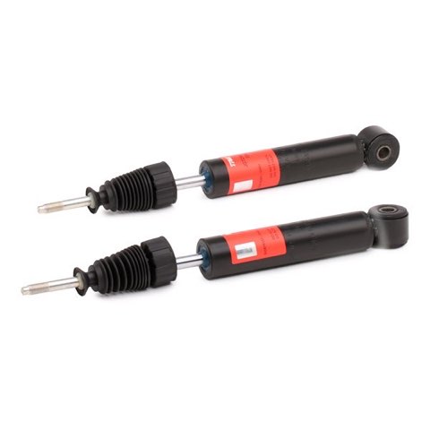 TRW JGT298T Twin Shock Absorber, photo 2
