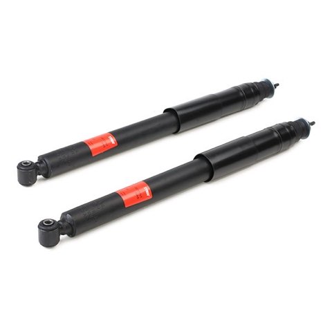 TRW JGT376T Twin Shock Absorber, photo 3