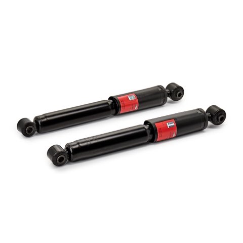 TRW JGT389T Twin Shock Absorber, photo 2