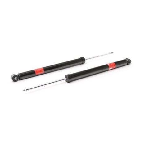 TRW JGT424T Twin Shock Absorber