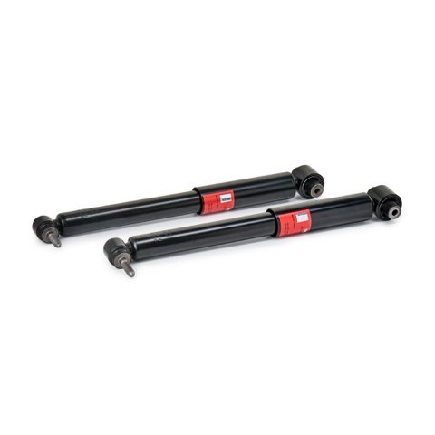 TRW JGT434T Twin Shock Absorber, photo 2