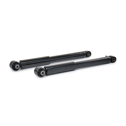TRW JGT434T Twin Shock Absorber, photo 3