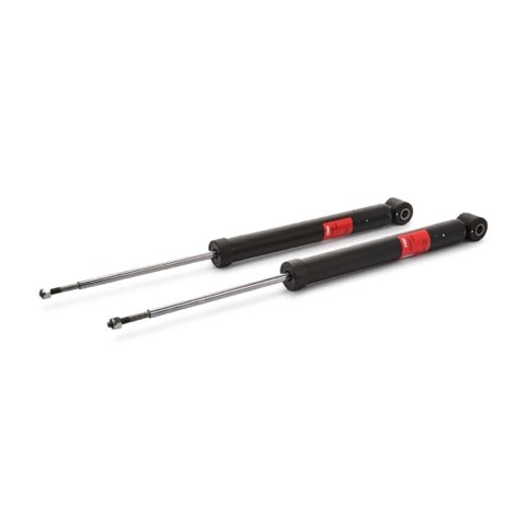 TRW JGT445T Twin Shock Absorber, photo 2