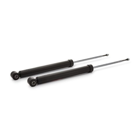 TRW JGT445T Twin Shock Absorber, photo 3