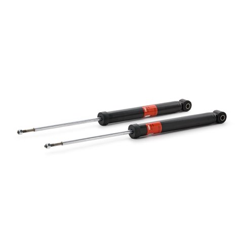 TRW JGT450T Twin Shock Absorber, photo 2