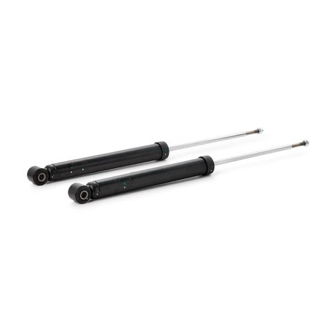TRW JGT450T Twin Shock Absorber, photo 3