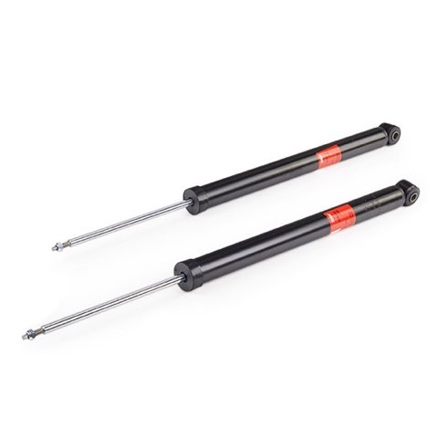 TRW JGT453T Twin Shock Absorber, photo 3