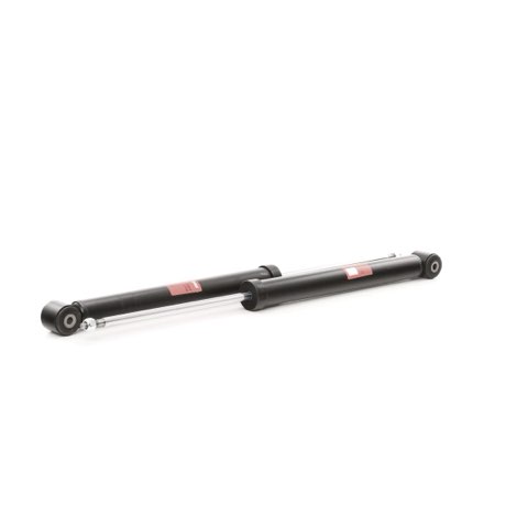 TRW JGT469T Twin Shock Absorber