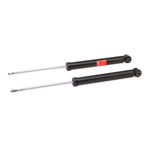 TRW JGT555T Twin Shock Absorber, photo 2