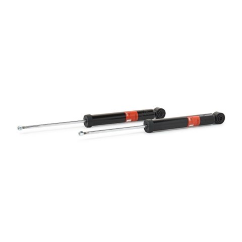 TRW JGT589T Twin Shock Absorber, photo 3