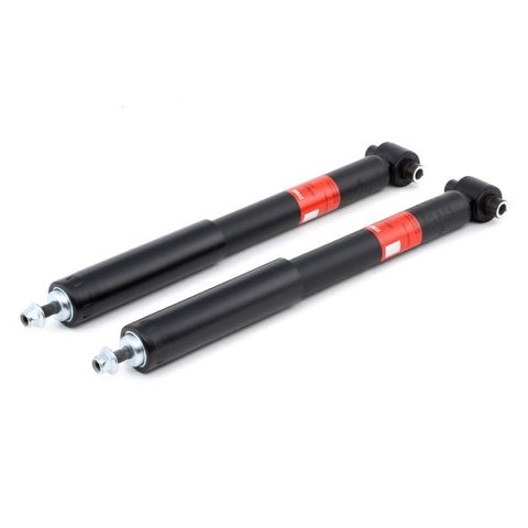 TRW JGT606T Twin Shock Absorber, photo 2