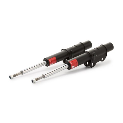 TRW JHM1002T Twin Shock Absorber, photo 2