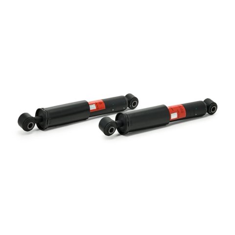 TRW JHT224S Shock Absorber, photo 2