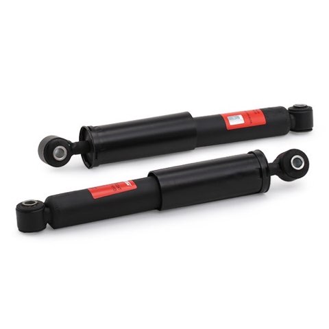 TRW JHT224T Twin Shock Absorber, photo 2