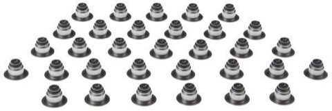 Mahle SS46079 Valve Stem Seal Set