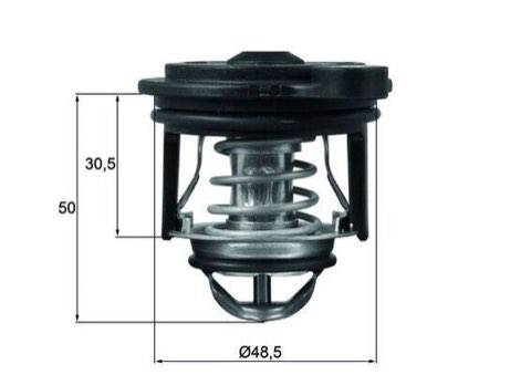 Mahle TI 246 50 Thermostat