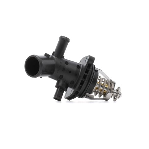 Mahle TM 58 101 Thermostat