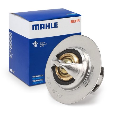 Mahle TX 100 89D Thermostat