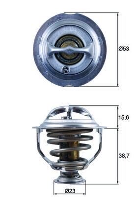 Mahle TX 123 95D Thermostat