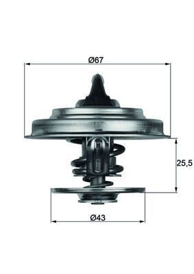 Mahle TX 18 65D Thermostat