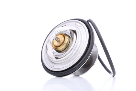 Mahle TX 18 79D Thermostat