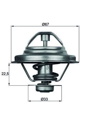 Mahle TX 24 87D Thermostat