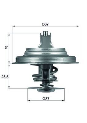 Mahle TX 25 80D Thermostat