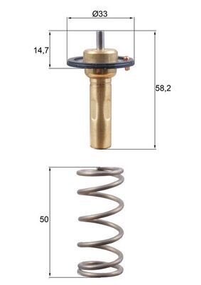 Mahle TX 265 89D Thermostat