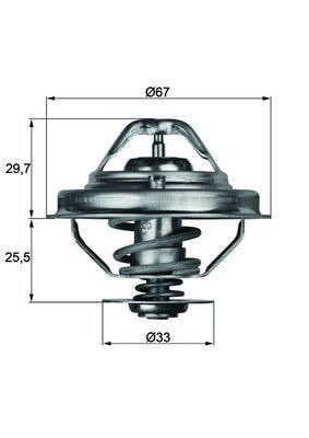Mahle TX 38 80D Thermostat