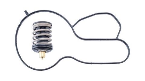 Mahle TX 495 87D Thermostat
