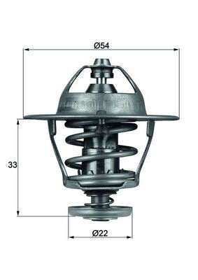 Mahle TX 53 85D Thermostat