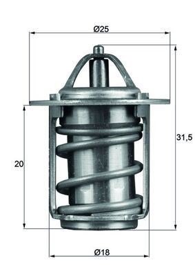 Mahle TX 6 83 Thermostat