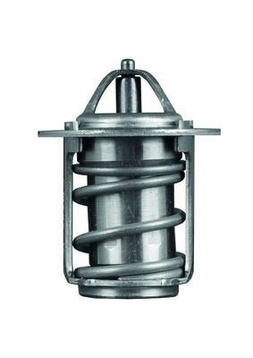 Mahle TX 6 83 Thermostat, photo 2