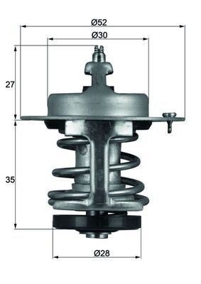 Mahle TX 69 79 Thermostat