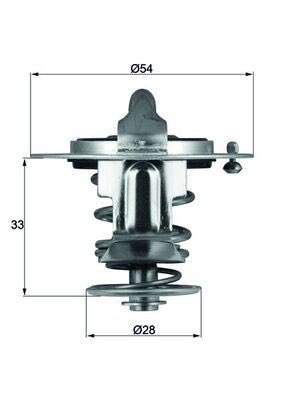 Mahle TX 72 82 Thermostat