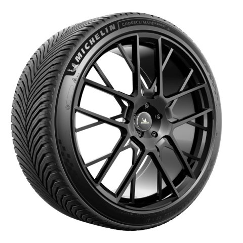 Michelin CrossClimate 3 Sport 295/35 R21 107Y XL, photo 2