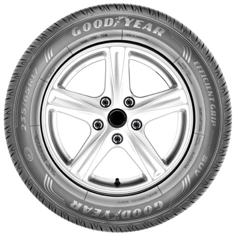 Goodyear EfficientGrip Performance 2 255/60 R17 106V, photo 3