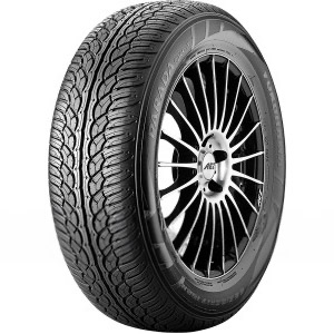 Yokohama PARADA Spec-X (PA02) 255/30 R22 95V XL